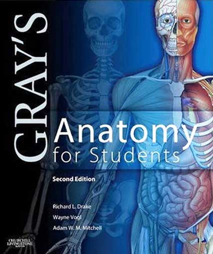 Medical Books Downloads