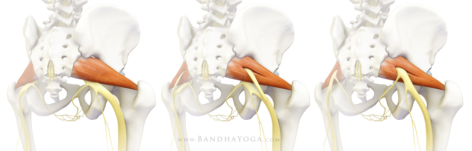 Yoga postures to relieve sciatica pain in piriformis syndrome